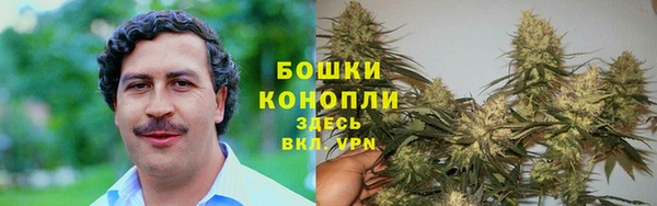 PSILOCYBIN Алзамай