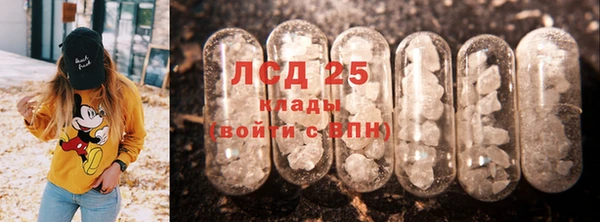 PSILOCYBIN Алзамай