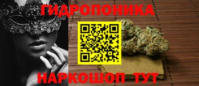 спайс Аргун