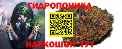 спайс Аргун