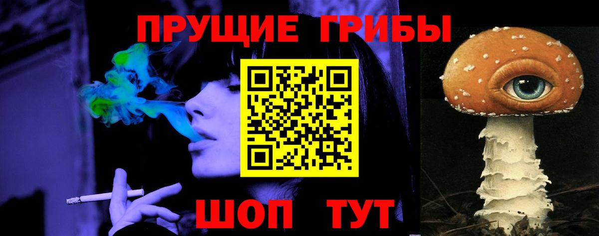 Псилоцибиновые грибы GOLDEN TEACHER Аргун