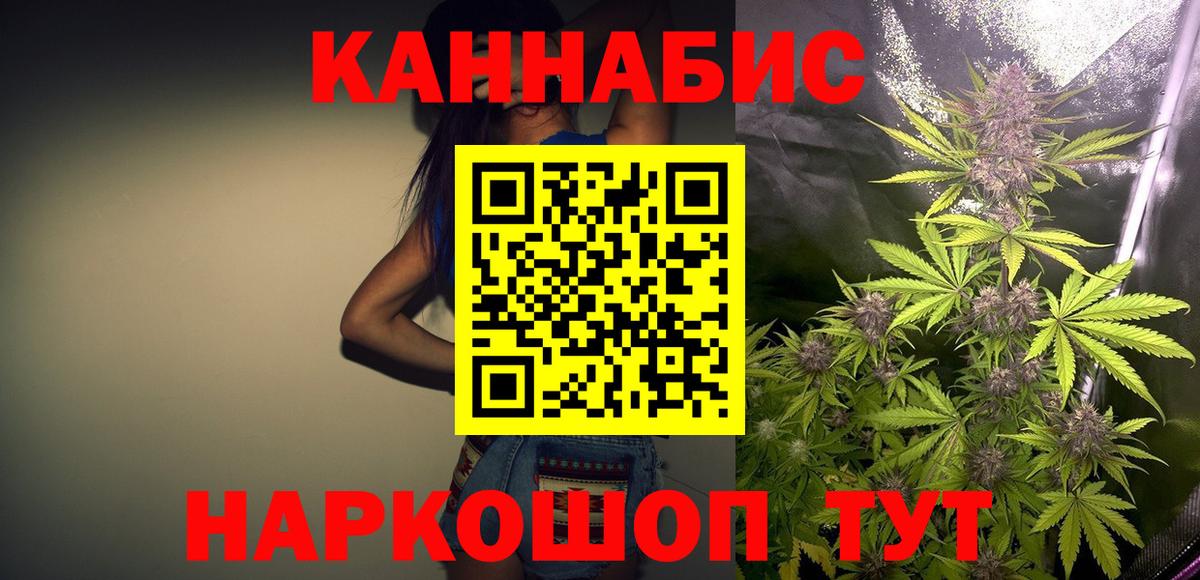 Канабис план Аргун